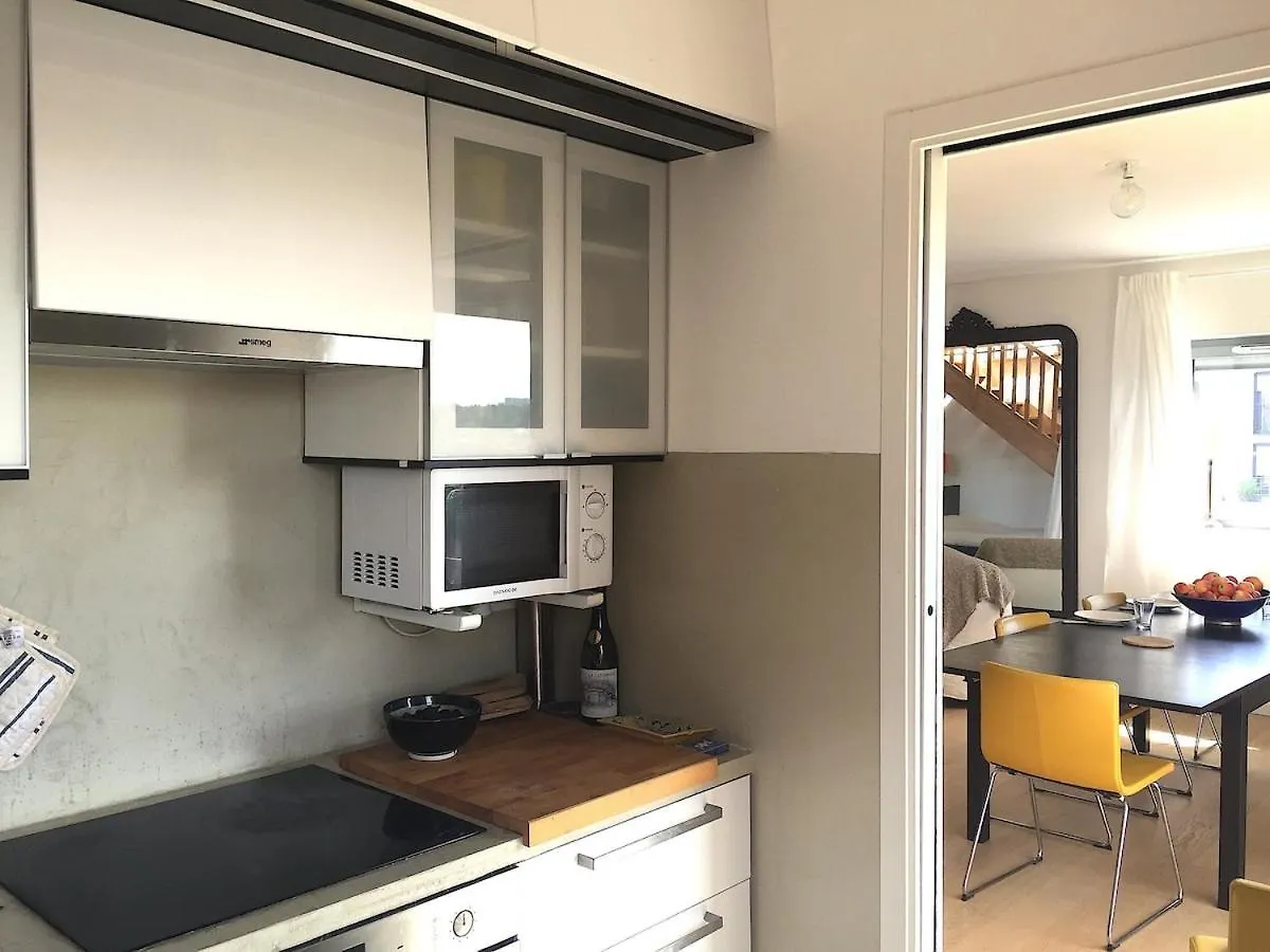 Superb 100M With Rooftop Terrace Near Paris Ivry-sur-Seine Apartment